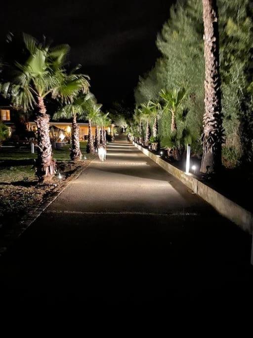 גאסה Grande Villa St-Tropez Area Avec Piscine Chauffee מראה חיצוני תמונה